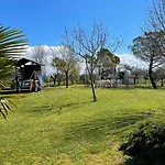 Lejlighed Con Piscina E Giardino A