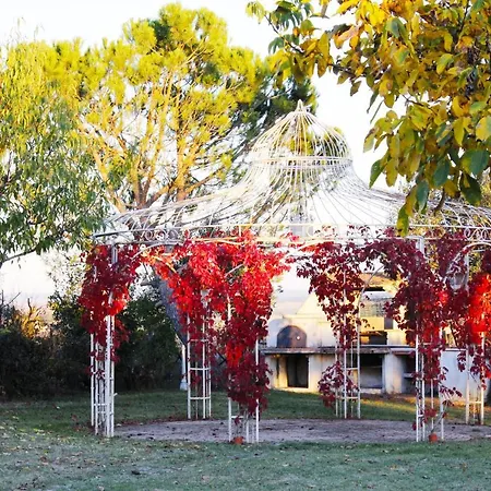 Con Piscina E Giardino A *