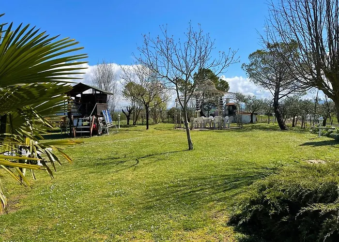 公寓 Con Piscina E Giardino A