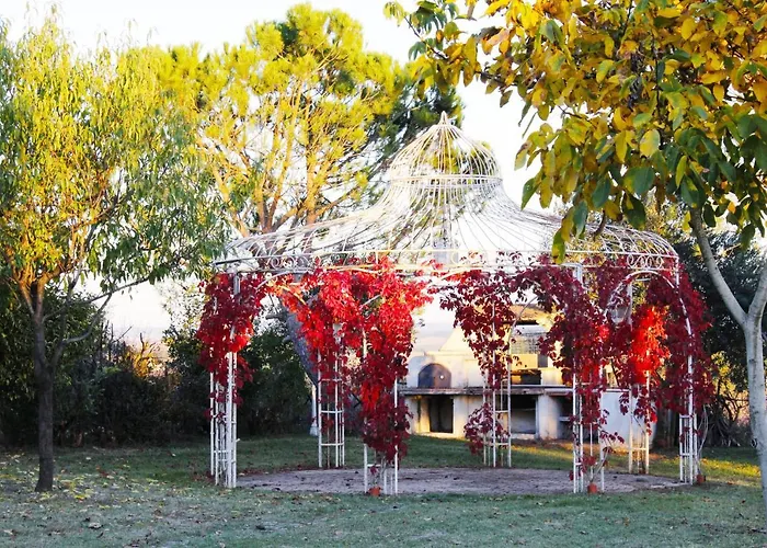 Con Piscina E Giardino A *